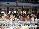 women tour yalta 0704 30
